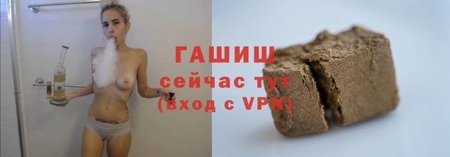 твердый Магас