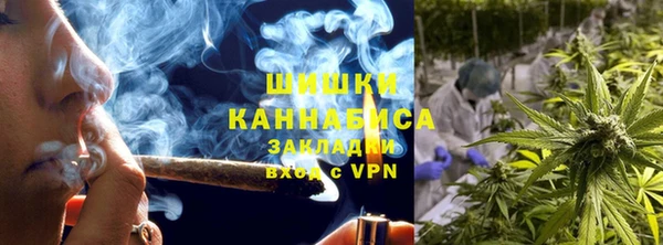 твердый Магас