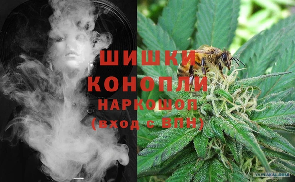 твердый Магас