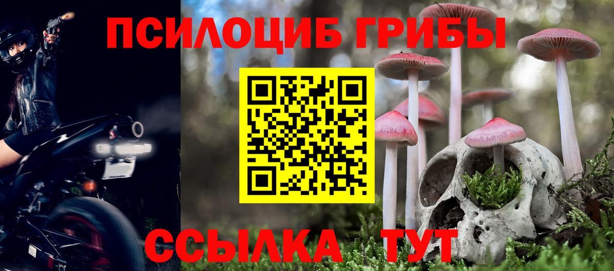 Псилоцибиновые грибы мицелий  Вход с VPN  где продают   Троицк 