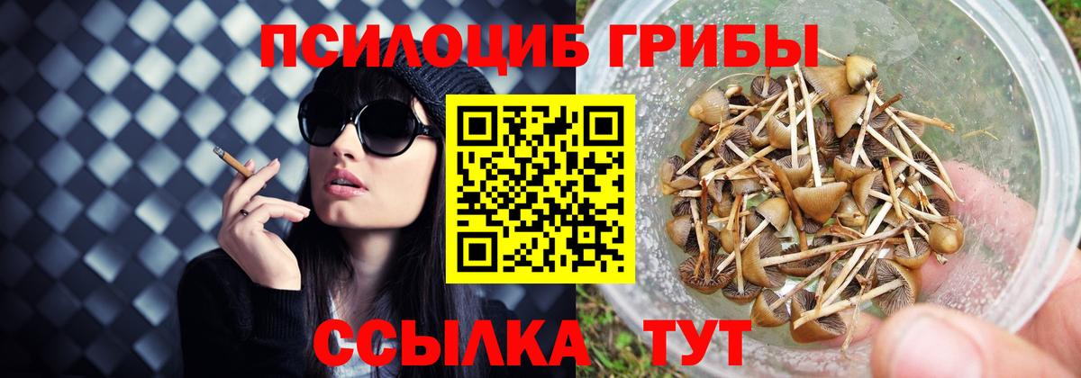 Псилоцибиновые грибы ЛСД Троицк